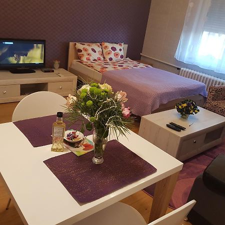 Sara - Modern Apartment In The City Center 노비사드 외부 사진